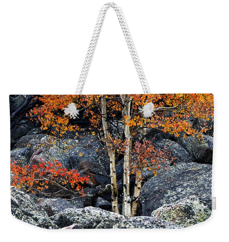 Among Boulders Weekender Tote Bag featuring the photograph Among Boulders by Chad Dutson