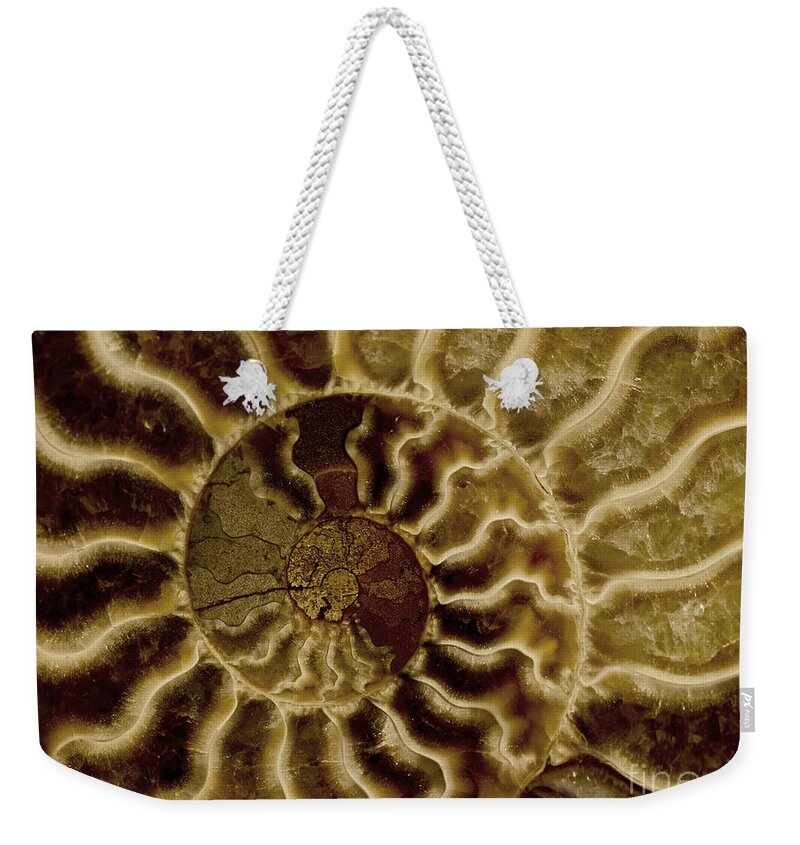 Ammonite Weekender Tote Bag featuring the photograph An ancient ammonite pattern IV by Jaroslaw Blaminsky