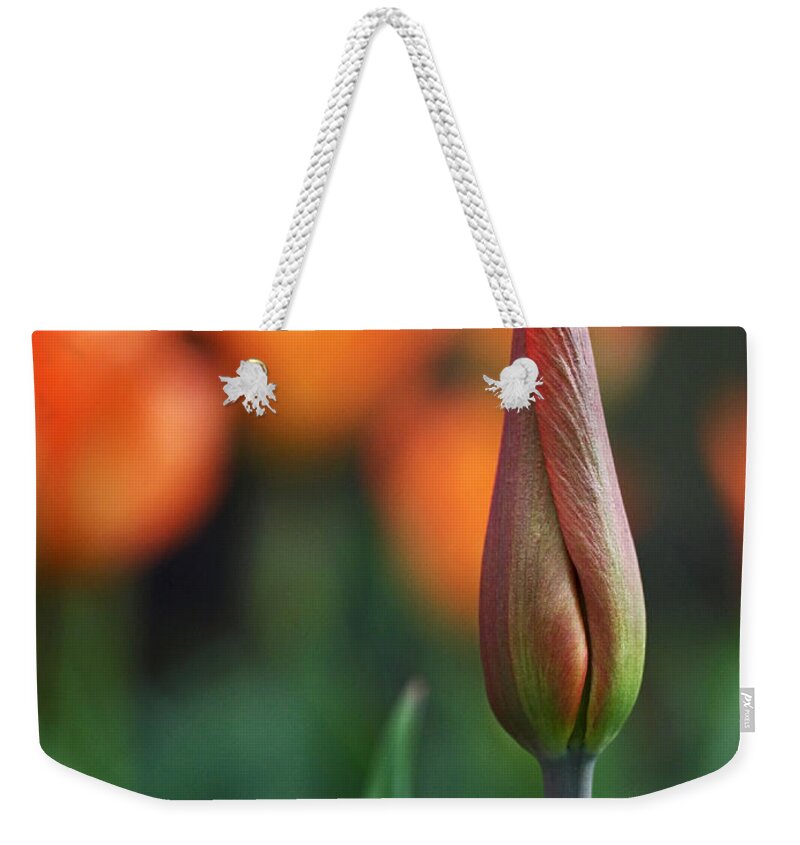 Tulip Weekender Tote Bag featuring the photograph An Elegant Beginning by Rona Black