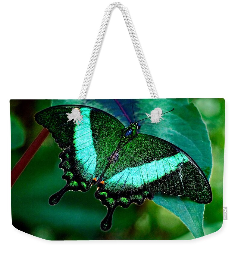 Karen Stephenson Photography Weekender Tote Bag featuring the photograph An Emerald Beauty by Karen Stephenson