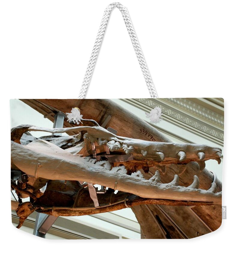 Dinosaur Weekender Tote Bag featuring the photograph Ancient Crocodile Dinosaur by Kenny Glover