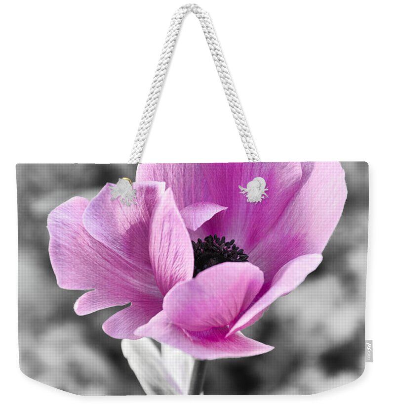 Anemone Weekender Tote Bag featuring the photograph Anemone by Georgette Grossman