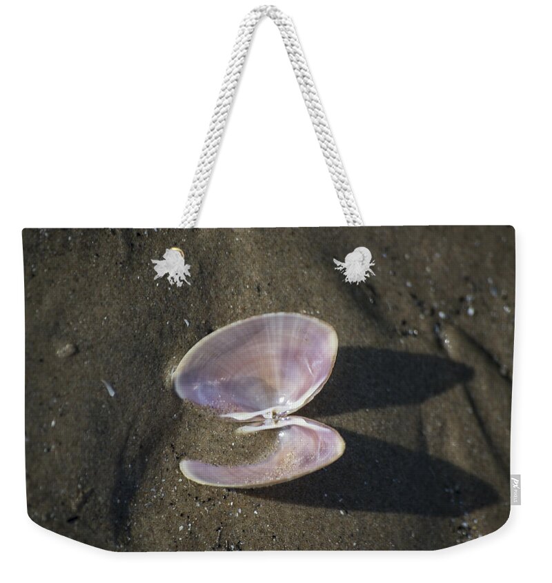 Sea Shell Weekender Tote Bag featuring the photograph Angel Wings by Spikey Mouse Photography