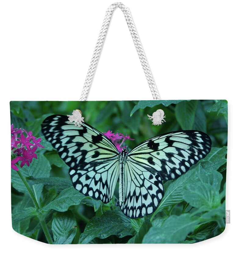 Butterflies Weekender Tote Bag featuring the photograph Another butterfly by Jeff Swan