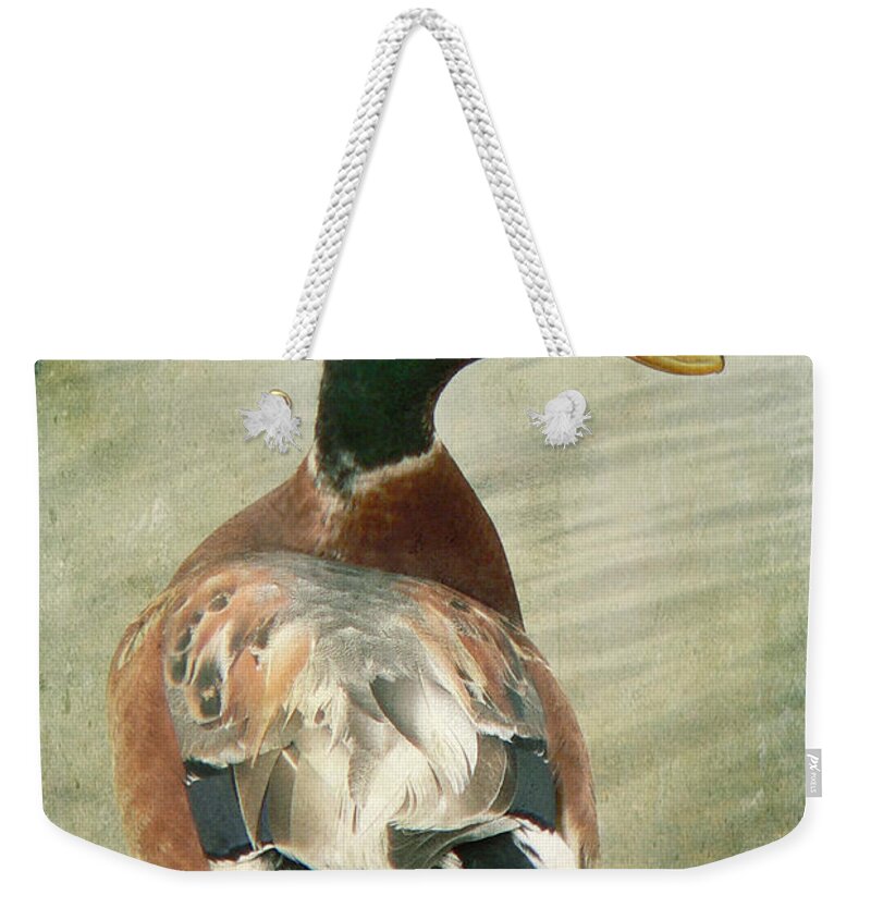 Duck Weekender Tote Bag featuring the photograph Another duck ... by Chris Armytage