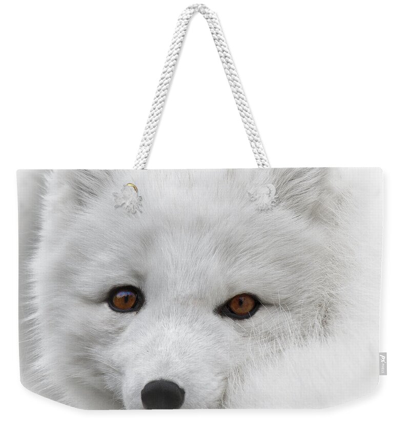 Another Oh Those Eyes Weekender Tote Bag featuring the photograph Another Oh Those Eyes by Wes and Dotty Weber