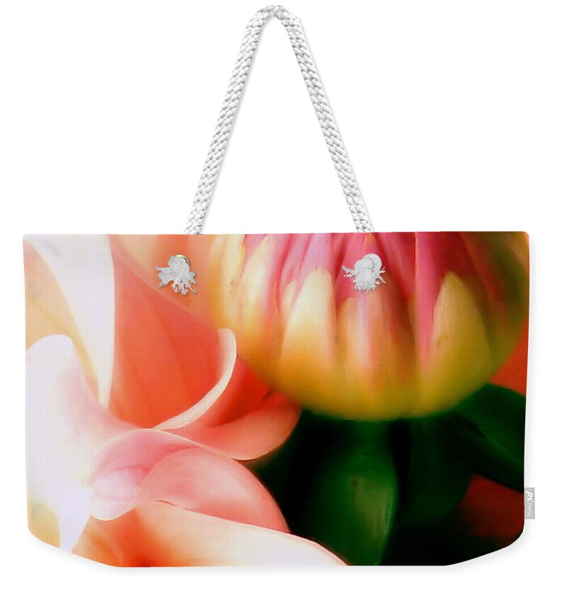 Dahlia Weekender Tote Bag featuring the photograph Anticipation by Rory Siegel
