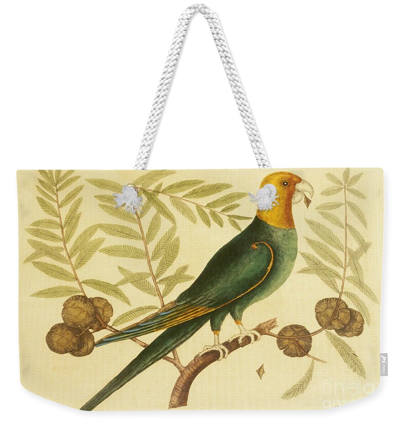 Animal Weekender Tote Bag featuring the photograph Antique Print Of Extinct Carolina by Will and Deni McIntyre