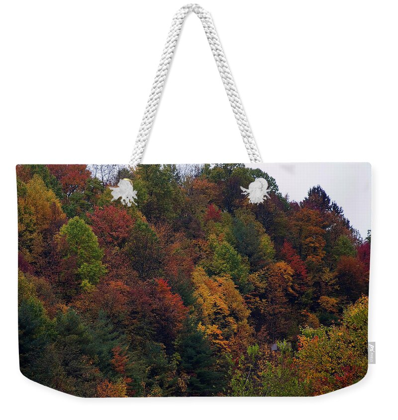 Landscape Weekender Tote Bag featuring the photograph Appalachian mountain fall by Flees Photos