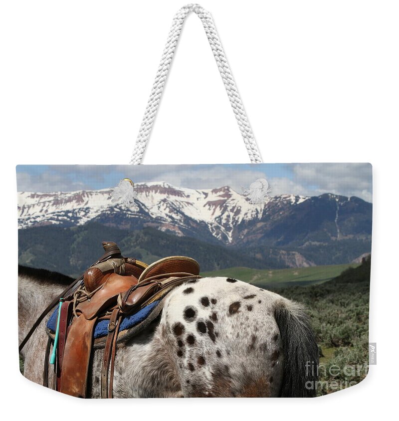 Appaloosa Weekender Tote Bag featuring the photograph Appaloosa by Edward R Wisell