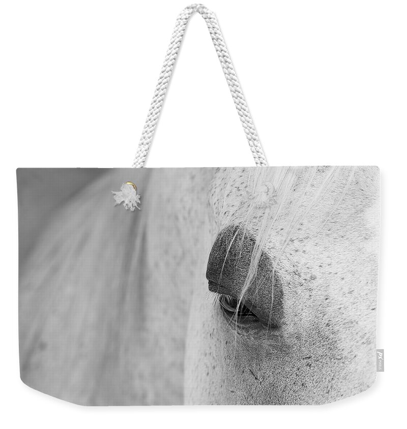 Animals Weekender Tote Bag featuring the photograph Appaloosa Eye by Mary Lee Dereske