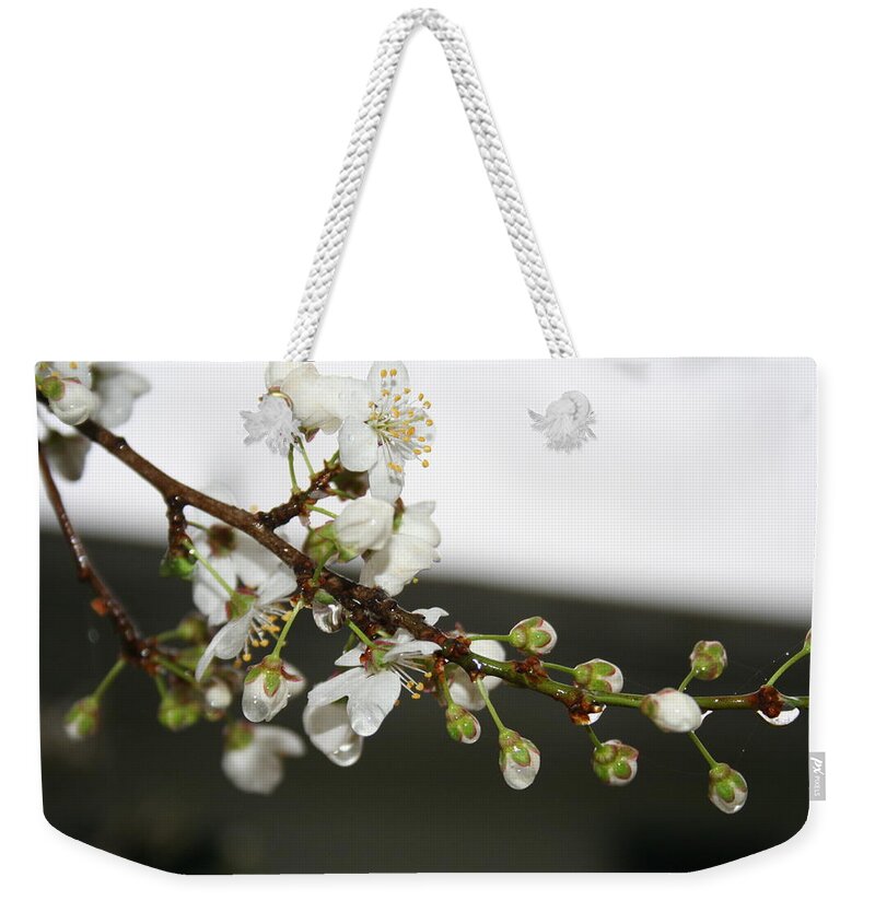 Apple Blossom Weekender Tote Bag featuring the photograph Apple Blossom Buds by Valerie Collins