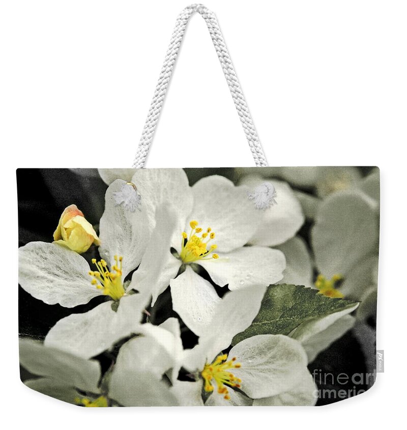 Wild Apple Weekender Tote Bag featuring the photograph Apple Blossoms by Alana Ranney