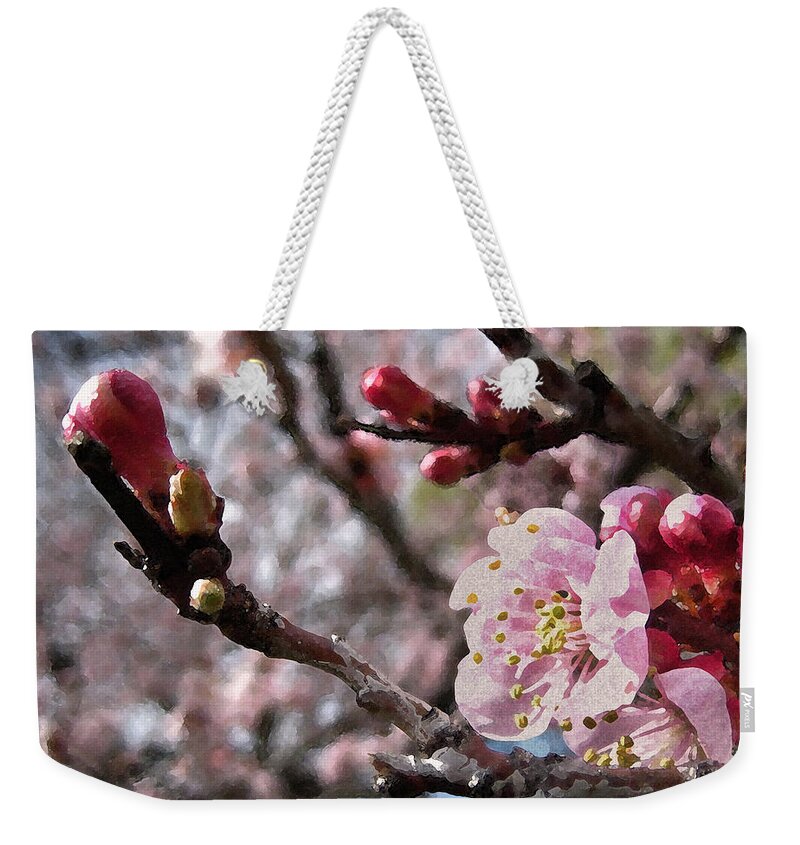 Tree Weekender Tote Bag featuring the photograph Apricot Floral by Kathy Bassett