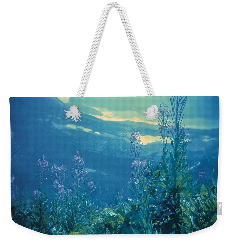 Aquarium Weekender Tote Bag featuring the photograph Aquarium Mountain by Carol Whaley Addassi