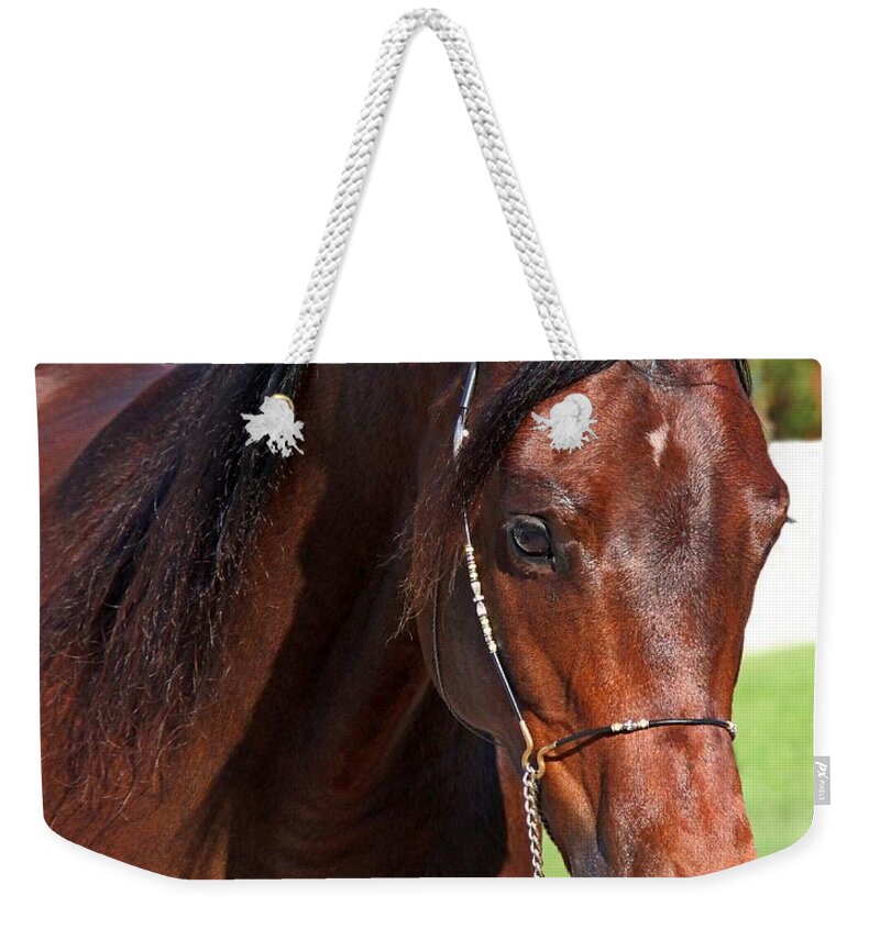 Animal Weekender Tote Bag featuring the photograph Arch Madness by Davandra Cribbie