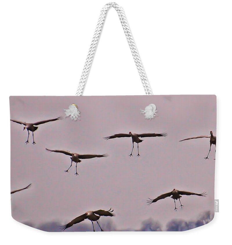 Cranes Weekender Tote Bag featuring the photograph Are You Sure this is the Spot by Don Schwartz