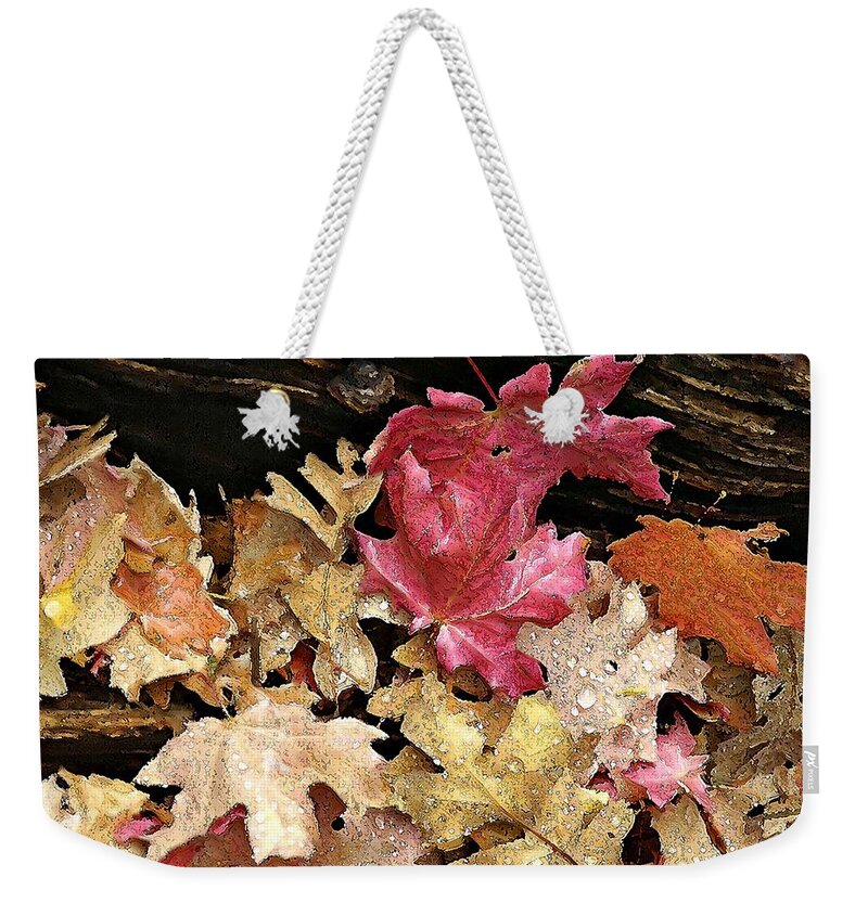 Landscape Weekender Tote Bag featuring the photograph Arizona Fall Colors by Matalyn Gardner