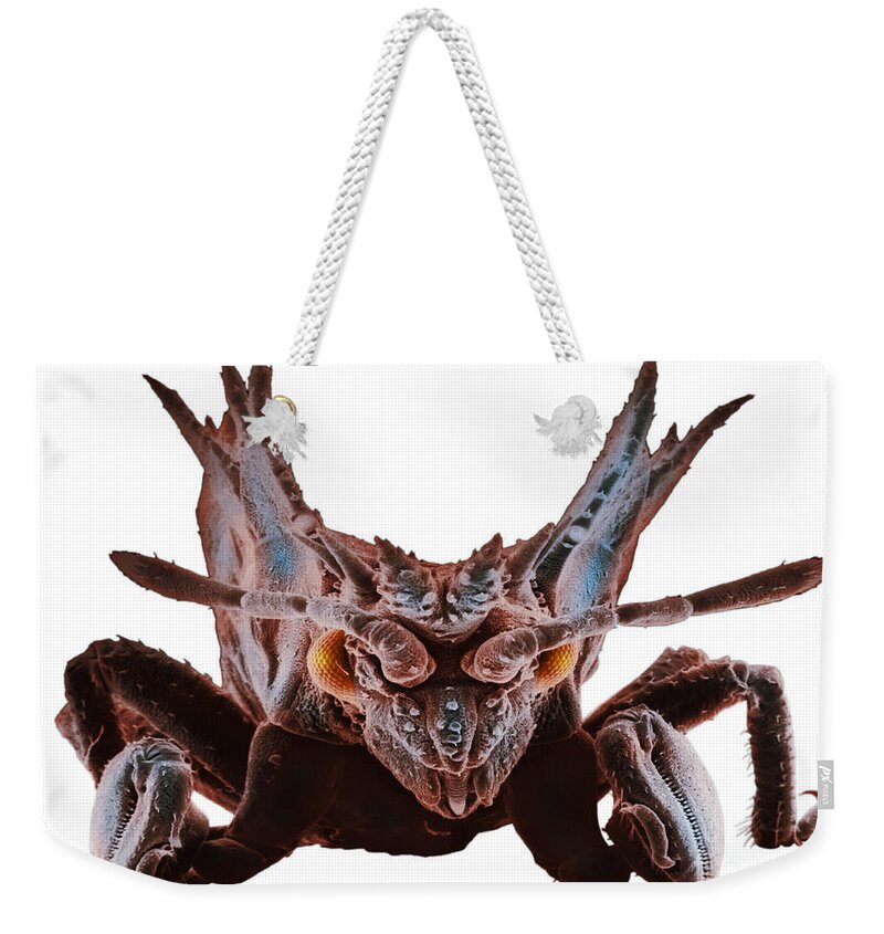 Armored Bug Weekender Tote Bag featuring the photograph Armored Bug by David M Phillips