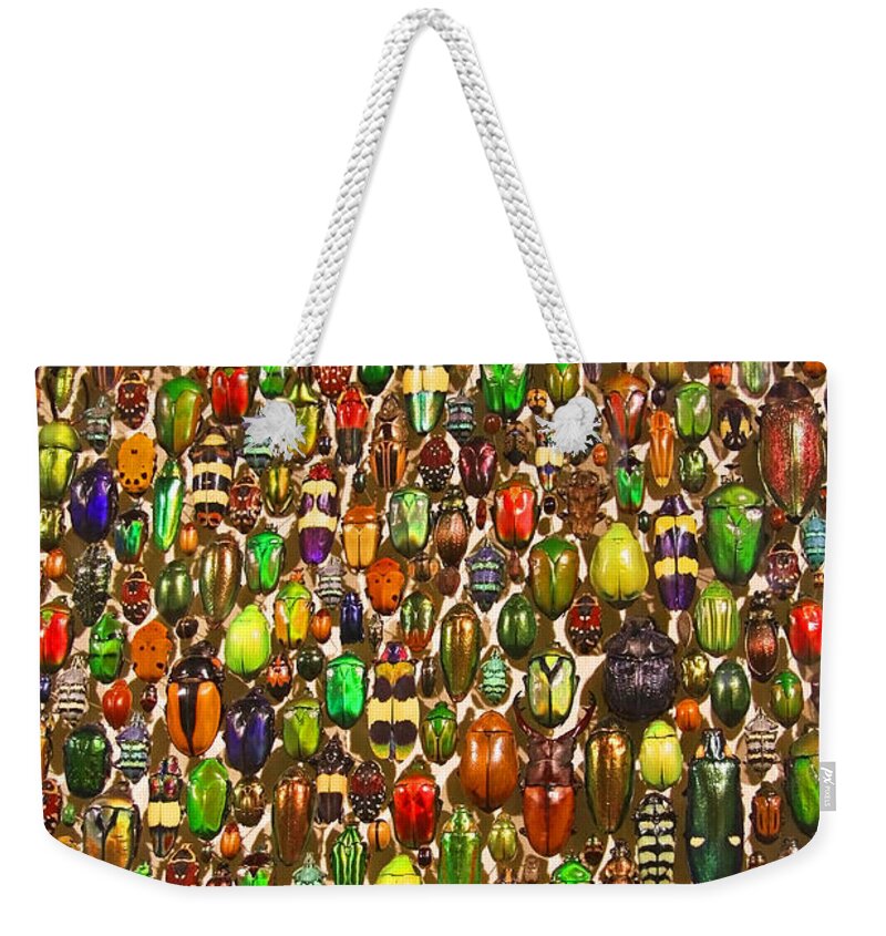Beetles Photo Weekender Tote Bag featuring the photograph Army of Beetles and Bugs by Brooke T Ryan