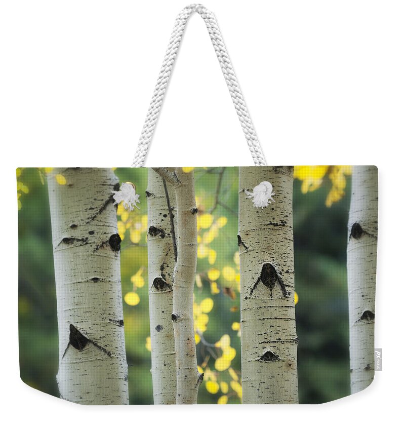 Aspen Trees Weekender Tote Bag featuring the photograph As Autumn Arrives by Saija Lehtonen