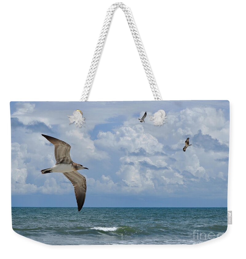 Beach Weekender Tote Bag featuring the photograph As Birds Fly by Kathy Baccari