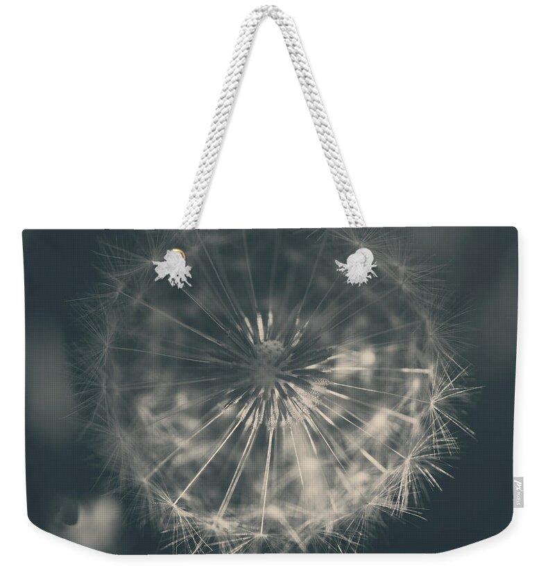 Dandelions Weekender Tote Bag featuring the photograph As Long as the Sun Still Shines by Laurie Search