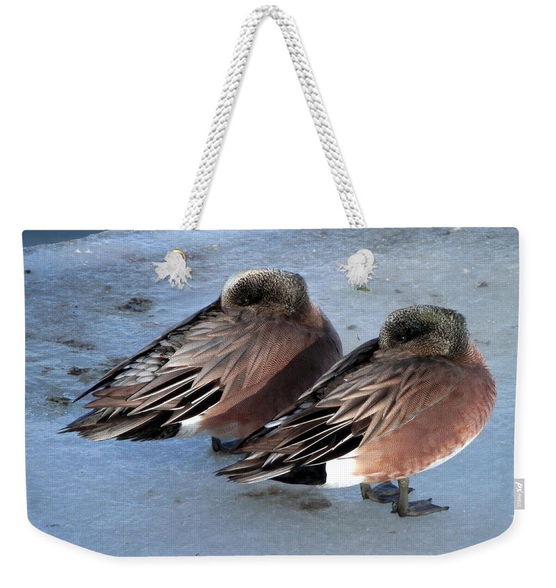 American Wigeon Weekender Tote Bag featuring the photograph As Long as We Are Together by Zinvolle Art