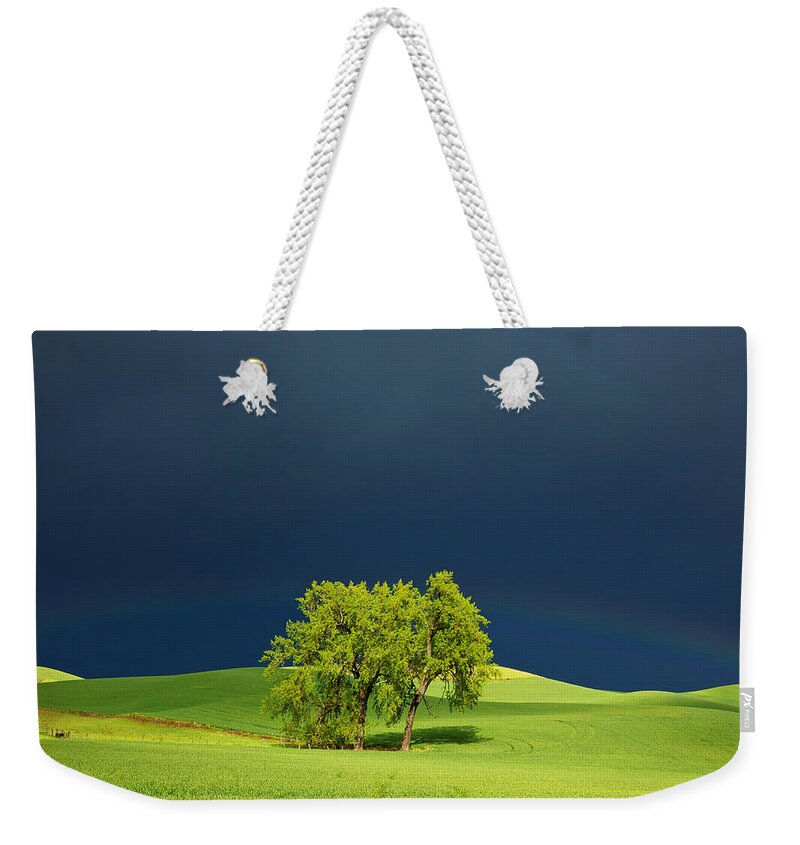 Dark Weekender Tote Bag featuring the photograph As the Sun Returns by Mary Lee Dereske