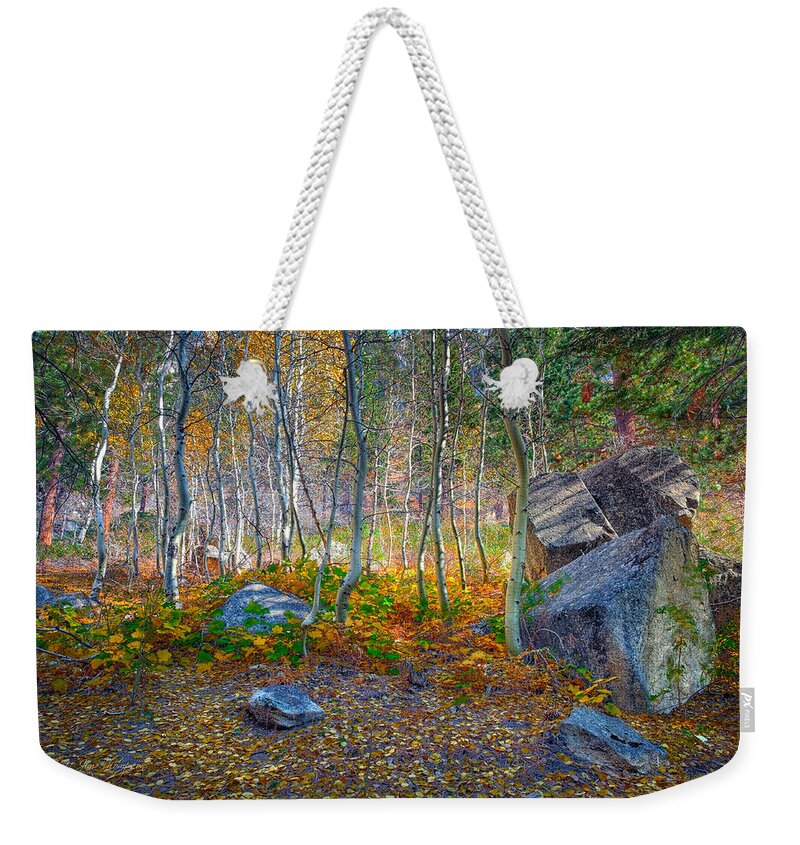 Aspen Weekender Tote Bag featuring the photograph Aspen Grove by Jim Thompson