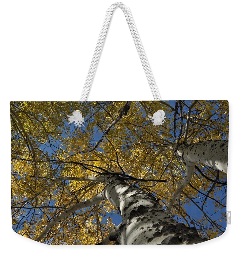 Gold Weekender Tote Bag featuring the photograph Fall Aspen by Frank Madia