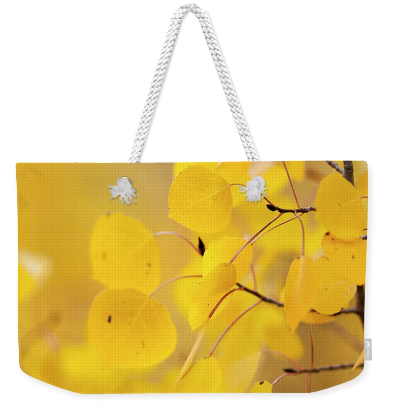 Tranquility Weekender Tote Bag featuring the photograph Aspen Leafs by Nickie Altamirano