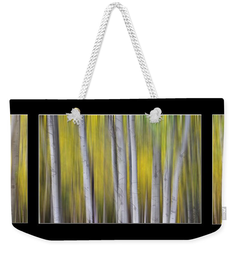 Aspen Weekender Tote Bag featuring the photograph Aspen Splendor Dreaming Triptych Collage by James BO Insogna