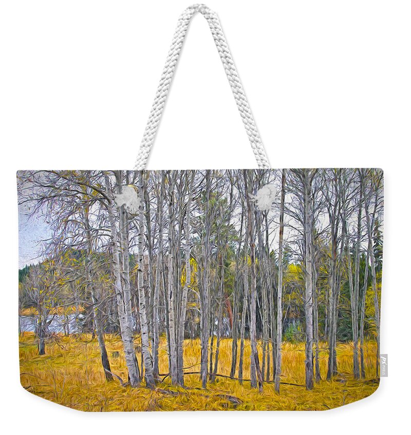 Aspen Weekender Tote Bag featuring the photograph Aspen Tree Grove digital oil painting by Sharon Talson