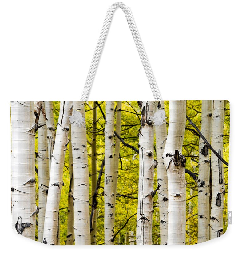 Aspen Weekender Tote Bag featuring the photograph Aspens by Chad Dutson