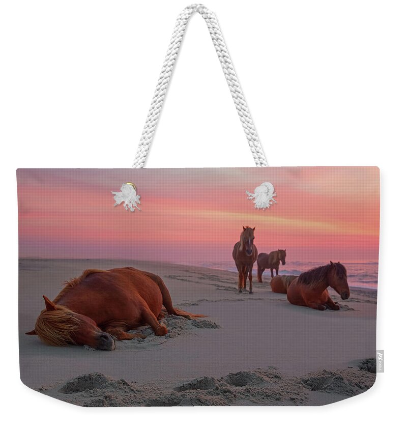 Horse Weekender Tote Bag featuring the photograph Assateague Island Wild Horses by Image By Michael Rickard