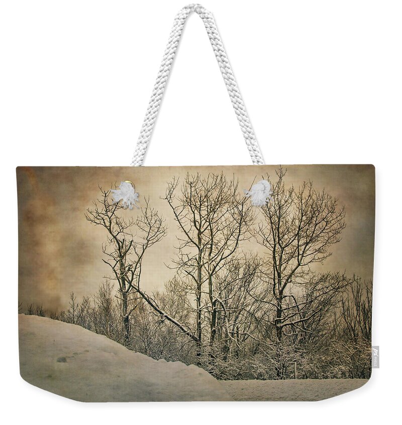 Trees Weekender Tote Bag featuring the photograph At The End Of The Road by Sue Capuano