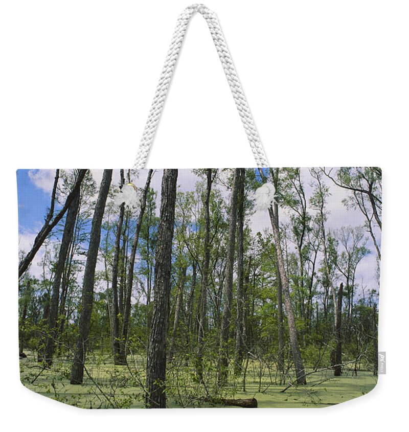 Algae-covered Weekender Tote Bag featuring the photograph Atchafalaya Swamp, Louisiana by Gary Retherford