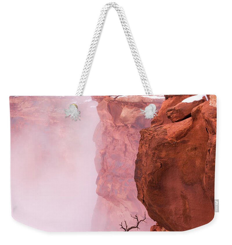 Canyonlands Weekender Tote Bag featuring the photograph Atop Canyonlands by Chad Dutson