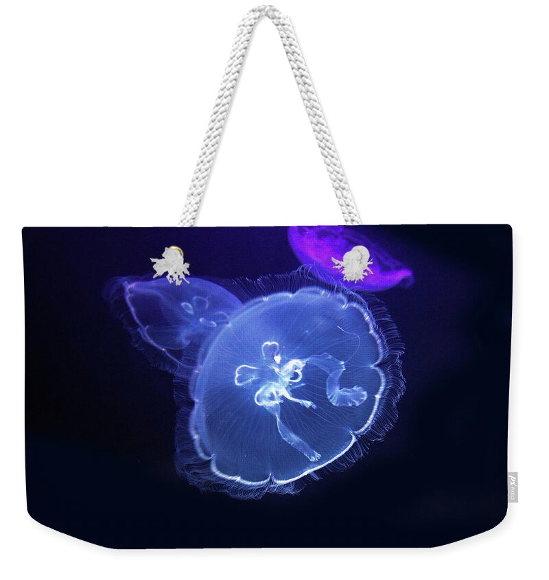 Underwater Weekender Tote Bag featuring the photograph Aurelia Aurita Moon Jellyfish by Bhs