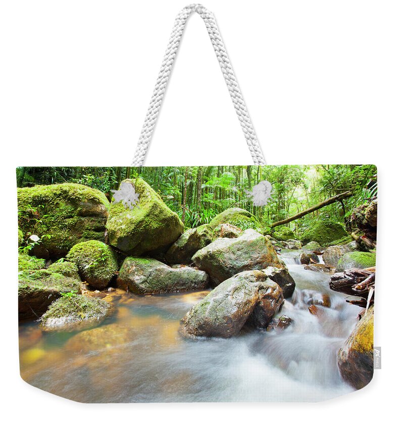 Cool Attitude Weekender Tote Bag featuring the photograph Australian Rainforest by Mburt