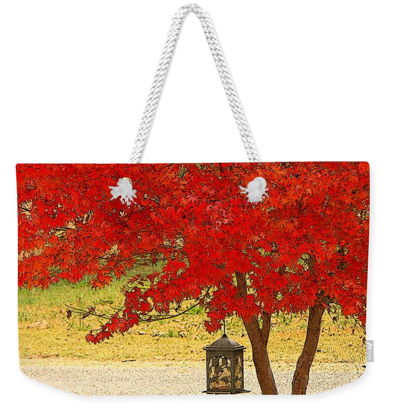 Fine Art Weekender Tote Bag featuring the photograph Autumn by The Road by Rodney Lee Williams