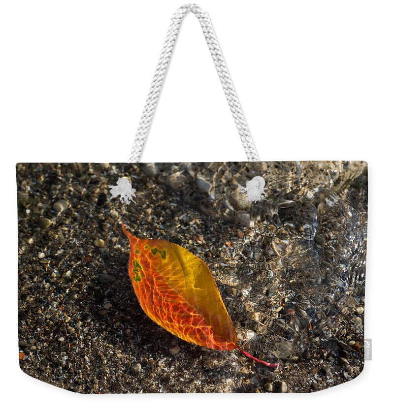 Georgia Mizuleva Weekender Tote Bag featuring the photograph Autumn Colors and Playful Sunlight Patterns - Cherry Leaf by Georgia Mizuleva
