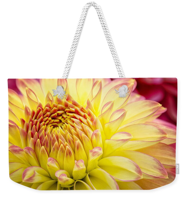 Dahlia Weekender Tote Bag featuring the photograph Autumn Dahlia by Georgette Grossman
