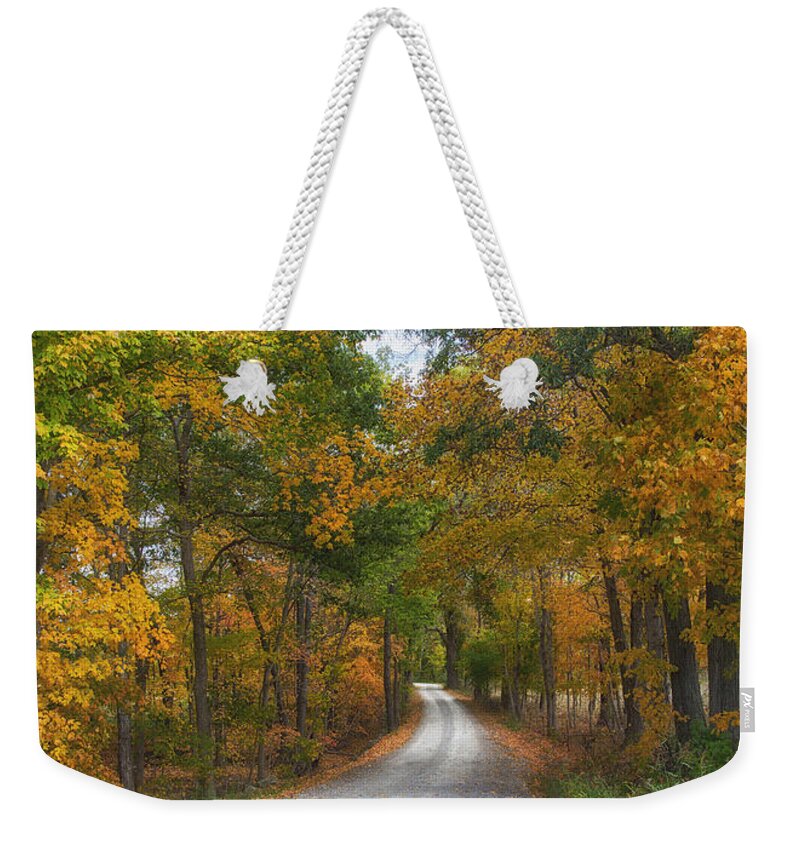 Autumn Trees Weekender Tote Bag featuring the photograph Autumn Entrance by Bill and Linda Tiepelman