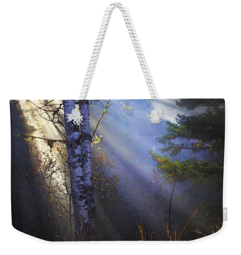 Fantasy Forest Weekender Tote Bag featuring the photograph Autumn Fog With Sun Rays by Theresa Tahara