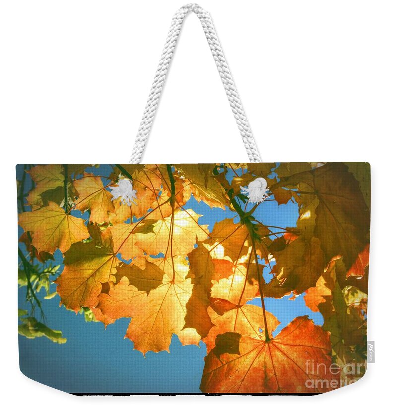 Autumn Weekender Tote Bag featuring the photograph Autumn Found by Spikey Mouse Photography