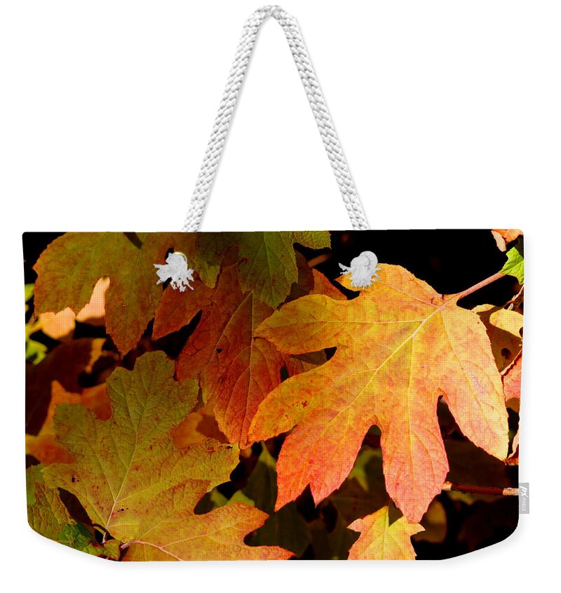 Autumn Weekender Tote Bag featuring the photograph Autumn Hues by Living Color Photography Lorraine Lynch