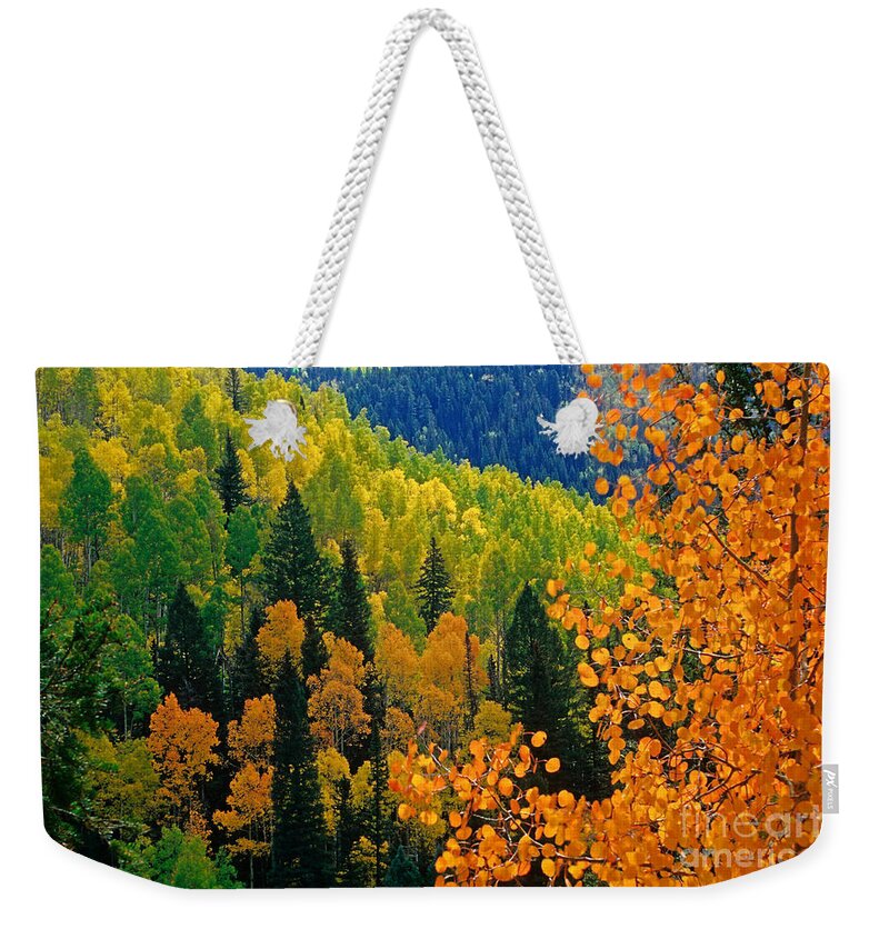 Golden Aspens Weekender Tote Bag featuring the photograph Autumn In Colorado by Richard and Ellen Thane