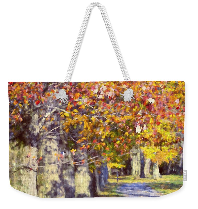 Autumn Weekender Tote Bag featuring the photograph Autumn in Hyde Park by Joan Carroll